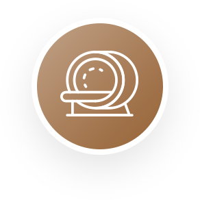 人間ドック（脳ドック）